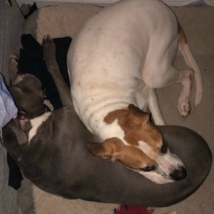 Meet your Posher, Christopher